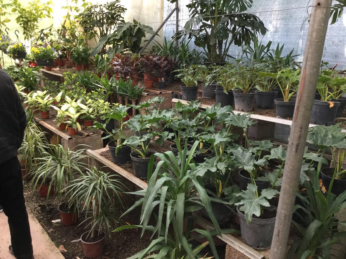Dar Baddi Hotel Lahebichate Bagian luar foto